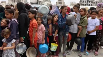 أسامة كمال: مركز توزيع المساعدات في غزة أصبح فجأة مسرحاً للإعدام الجماعي