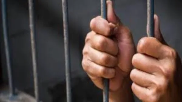 احتجاز مالك مطبعة ومصادرة 43 ألف نسخة تجارية غير مرخصة | التفاصيل احتجاز مالك مطبعة ومصادرة 43 ألف نسخة تجارية غير مرخصة | التفاصيل