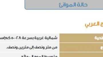 حالة الطقس في يوم التروية: أمطار رعدية وغبار في عدة مناطق بالمملكة