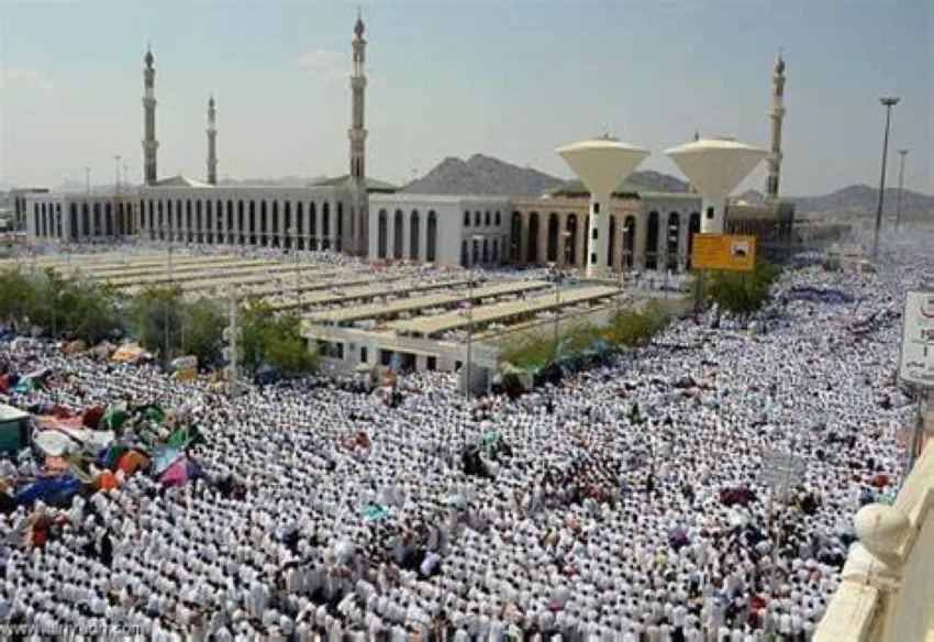 مشاريع لتوفير الظلال وأرضيات مطاطية لتحسين تجربة الزوار مشاريع لتوفير الظلال وأرضيات مطاطية لتحسين تجربة الزوار