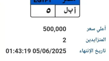 سعرها 500 ألف جنيه.. عرض خاص لبيع لوحة سيارة فريدة