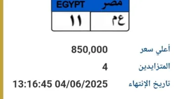 تقدير السعر 800 ألف جنيه.. عرض مزاد لرقم لوحة سيارة فريد “ع م-11”