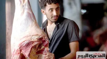 «مسلخ البساتين».. لحوم طازجة ومجمدة عالية الجودة لكل المتاجر.