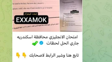 في اليوم الأخير لها .. انتشار امتحانات الشهادة الإعدادية على مجموعات شاومينج عبر تيليجرام.