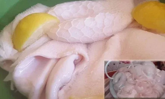 ماذا يحدث عندما تُنظف الكرشة باستخدام بيكربونات الصوديوم؟ النتائج ستدهشك. ماذا يحدث عندما تُنظف الكرشة باستخدام بيكربونات الصوديوم؟ النتائج ستدهشك.