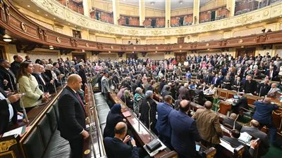 شروط توزيع الدعم المالي وفقًا لقانون الحماية الاجتماعية
