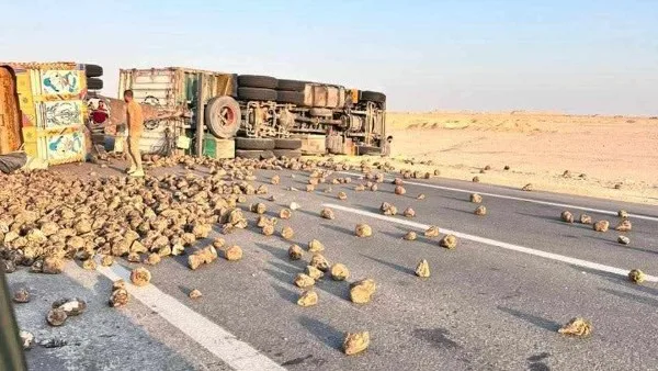 انقلاب شاحنة محملة بسكر البنجر على طريق تنيدة في منفلوط بالوادي الجديد انقلاب شاحنة محملة بسكر البنجر على طريق تنيدة في منفلوط بالوادي الجديد