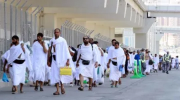 “البعثة الطبية للحج”: أكثر من 33 ألف حاج حصلوا على الرعاية الصحية… فرق ميدانية تتابع الحالات على مدار الساعة