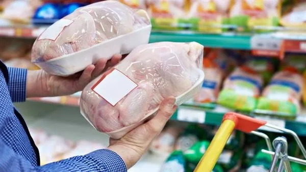 أسعار الدواجن الساسو والبلدي اليوم، الأربعاء 4 يونيو 2025، في الأسواق والمزارع أسعار الدواجن الساسو والبلدي اليوم، الأربعاء 4 يونيو 2025، في الأسواق والمزارع