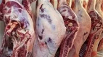وزارة الزراعة تقدم خرافًا ولحومًا حية بأسعار منخفضة مع خصم يصل إلى 20%