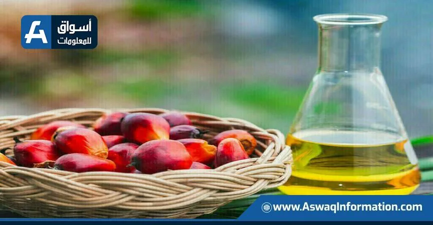 توقعات بزيادة إنتاج زيت النخيل الماليزي إلى أعلى مستوى له منذ عام 2015 توقعات بزيادة إنتاج زيت النخيل الماليزي إلى أعلى مستوى له منذ عام 2015