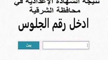 نتائج الصف الثالث الإعدادي لمحافظة الشرقية 2025 المرحلة الثانية بالاسم ورقم الجلوس (عند الاعتماد)