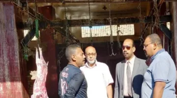 بيطري أسوان: إنشاء لجنة مختصة لمراقبة ذبح الأضاحي وضمان إدارة المخلفات بشكل آمن خلال عيد الأضحى