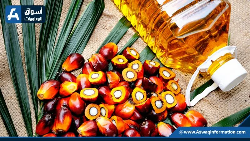 تراجع أسعار العقود المستقبلية لزيت النخيل الماليزي في ظل توقعات بزيادة المخزونات تراجع أسعار العقود المستقبلية لزيت النخيل الماليزي في ظل توقعات بزيادة المخزونات