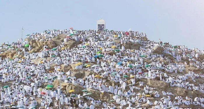 قرار الإفتاء بشأن التوجه إلى عرفات في يوم التروية بدلاً من منى: حسم الجدل. قرار الإفتاء بشأن التوجه إلى عرفات في يوم التروية بدلاً من منى: حسم الجدل.