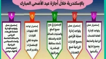 محافظة الإسكندرية تُعلي درجة الاستعداد القصوى لحماية الأراضي الزراعية من الاعتداءات
