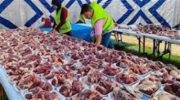 تضامن الوادي الجديد تكمل توزيع 3900 كيلوجرام من اللحوم للمستفيدين من برنامج تكافل وكرامة