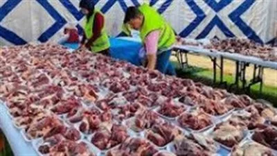 تضامن الوادي الجديد تكمل توزيع 3900 كيلوجرام من اللحوم للمستفيدين من برنامج تكافل وكرامة تضامن الوادي الجديد تكمل توزيع 3900 كيلوجرام من اللحوم للمستفيدين من برنامج تكافل وكرامة