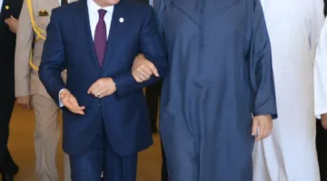 السيسي وبن زايد يشددان على ضرورة وقف فوري لإطلاق النار في غزة | صور