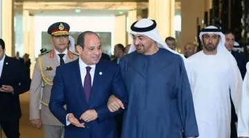 الرئيس السيسي ومحمد بن زايد يشددان على ضرورة وقف إطلاق النار الفوري في غزة.