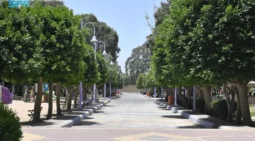 600 حديقة في عسير تفتح أبوابها أمام الزوار خلال عطلة عيد الأضحى