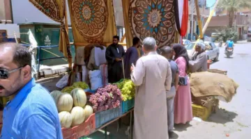 استمرار سوق اليوم الواحد في مدينة أخميم حتى الجمعة القادمة لتلبية متطلبات المواطنين قبل عيد الأضحى.