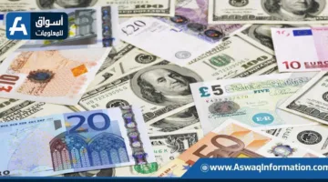 ضبط قضايا تهريب للعملات الأجنبية بقيمة 12 مليون جنيه