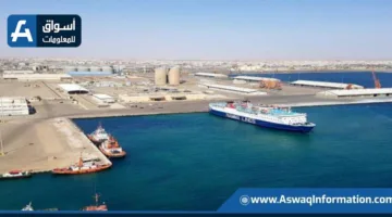 تداول 13 ألف طن من البضائع و928 شاحنة في موانئ البحر الأحمر