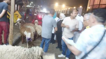 تحقق إيرادات قدرها ٤٧٥٠٠ جنيه من رسوم المعاينة و٣٣ ألف جنيه كغرامة فورية.