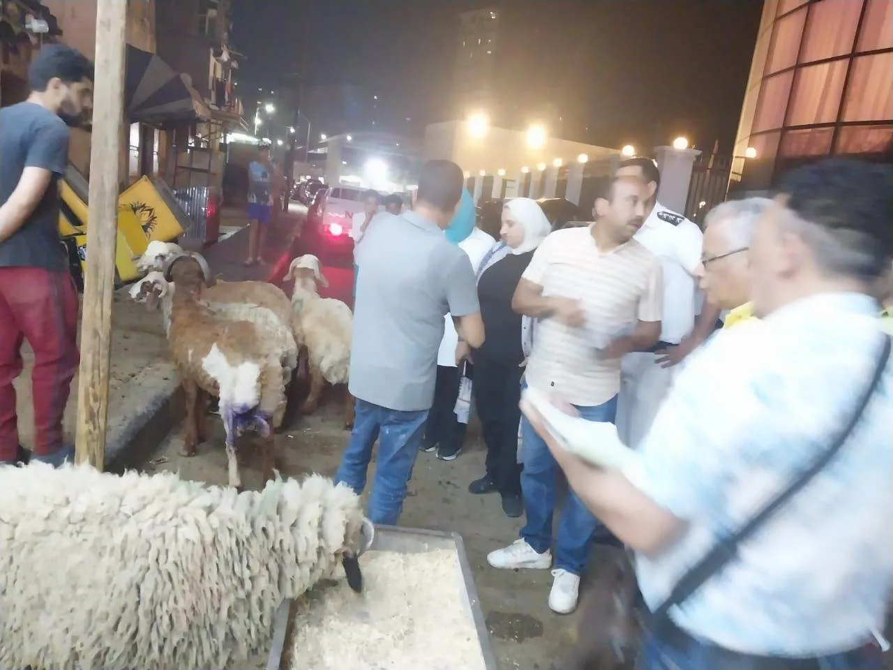تحقق إيرادات قدرها ٤٧٥٠٠ جنيه من رسوم المعاينة و٣٣ ألف جنيه كغرامة فورية. تحقق إيرادات قدرها ٤٧٥٠٠ جنيه من رسوم المعاينة و٣٣ ألف جنيه كغرامة فورية.