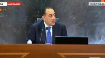 توجيه رئاسي للاستبدال بين السيارات التي تعمل بالبنزين والكهربائية وخطة حكومية لخفض أسعارها.