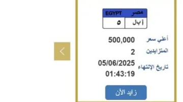 سعرها 500 ألف جنيه.. الطلب يتصاعد على لوحة سيارة فريدة