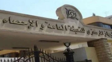 الإحصاءات: نمو حجم الصادرات المصرية إلى الإمارات بنسبة 46.9% في عام 2024