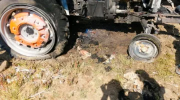 إخماد حريق في مزرعة للأبقار في الغربية.. صور