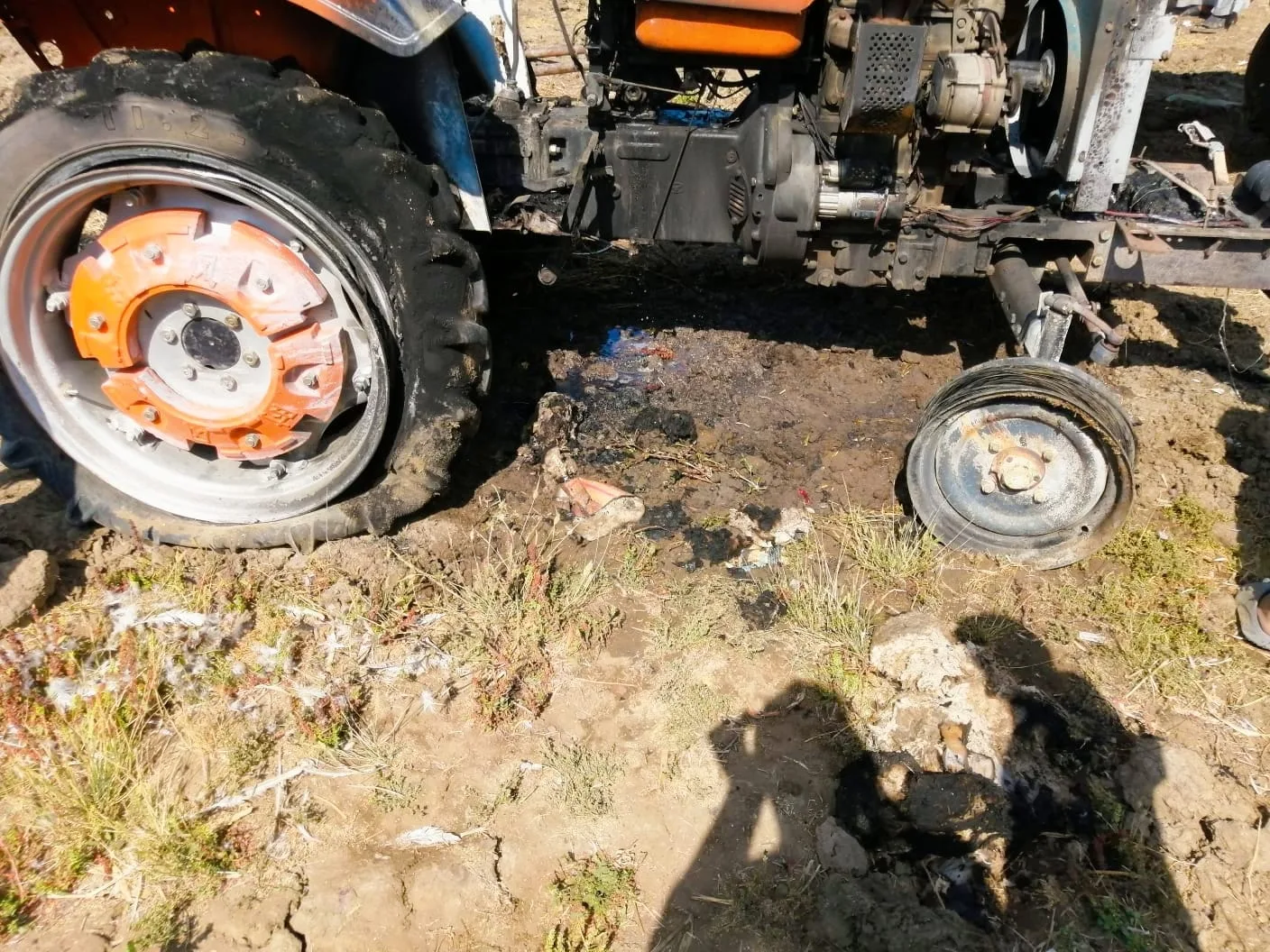 إخماد حريق في مزرعة للأبقار في الغربية.. صور إخماد حريق في مزرعة للأبقار في الغربية.. صور