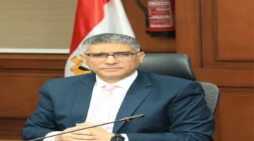 محافظ الجيزة: جهود كبيرة في النظام الصحي لاستقبال عيد الأضحى.
