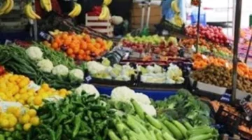 السلطة والخضروات: درع قوي لمواجهة آثار اللحوم بعد عيد الأضحى.. التفاصيل