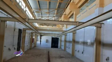 استعدادات عيد الأضحى: محافظ قنا يعلن أسعار اللحوم المحلية والمستوردة في المحافظة