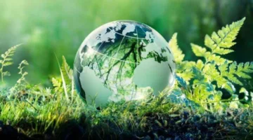تقرير “وضعيّة الحكومات العربية 2025” يدعو إلى تسريع عملية التحول الأخضر في الحكومات بالمنطقة العربية.