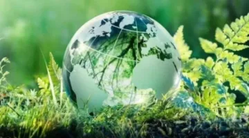 تقرير “الوضع الحكومي في العالم العربي 2025”: نداء عاجل لتعجيل التحول نحو الاستدامة البيئية في الحكومات العربية