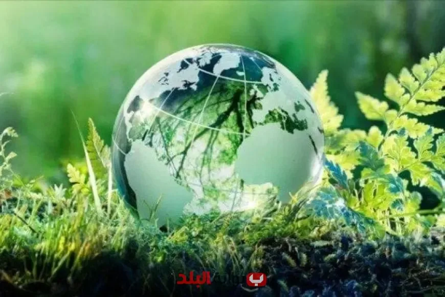 تقرير “الوضع الحكومي في العالم العربي 2025”: نداء عاجل لتعجيل التحول نحو الاستدامة البيئية في الحكومات العربية تقرير “الوضع الحكومي في العالم العربي 2025”: نداء عاجل لتعجيل التحول نحو الاستدامة البيئية في الحكومات العربية