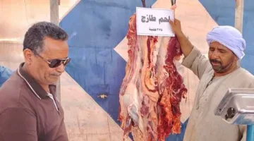 ما هو سعر اللحم؟… تقييم أسعار اللحوم الحمراء في الوادي الجديد