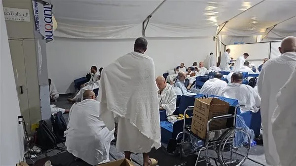 وصول أولى مجموعات الحجاج السياحيين إلى عرفات لأداء الركن الأساسي من الحج وصول أولى مجموعات الحجاج السياحيين إلى عرفات لأداء الركن الأساسي من الحج