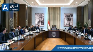 مجلس الوزراء: توقعات بالإعلان عن مقترحات تعديل قانون الضرائب وسوق المال قبل نهاية يوليو