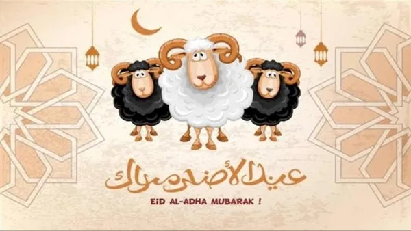 برامج وعروض ومقابلات مميزة.. جدول بث المتحدة خلال عطلة عيد الأضحى 2025 برامج وعروض ومقابلات مميزة.. جدول بث المتحدة خلال عطلة عيد الأضحى 2025