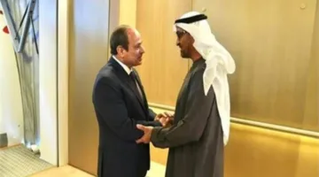 مصر القومي: زيارة الرئيس للإمارات تدعم الروابط بين الدولتين والرؤية العربية الموحدة