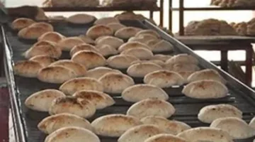 وزير التموين: نجهز ونتيح حوالي 280 مليون رغيف خبز يومياً للمواطنين، وهذه مسؤولية ضخمة للغاية