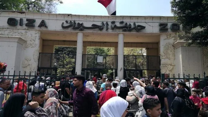 رسميًا.. موعد إعادة افتتاح حديقة الحيوان بالجيزة بعد فترة إغلاق دامت 18 شهرًا رسميًا.. موعد إعادة افتتاح حديقة الحيوان بالجيزة بعد فترة إغلاق دامت 18 شهرًا