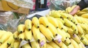 أسعار الموز والبطيخ والفواكه في الأسواق اليوم 5 يونيو 2025