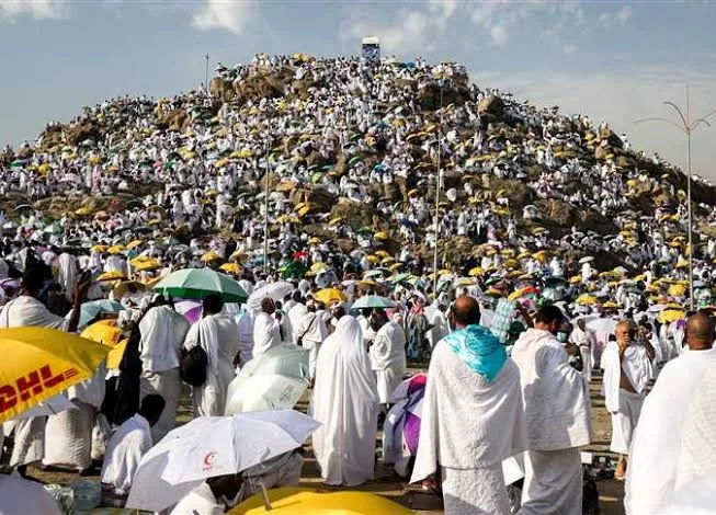 حجاج البيت الحرام يطبقون الركن الأساسي للحج عند جبل عرفات. حجاج البيت الحرام يطبقون الركن الأساسي للحج عند جبل عرفات.